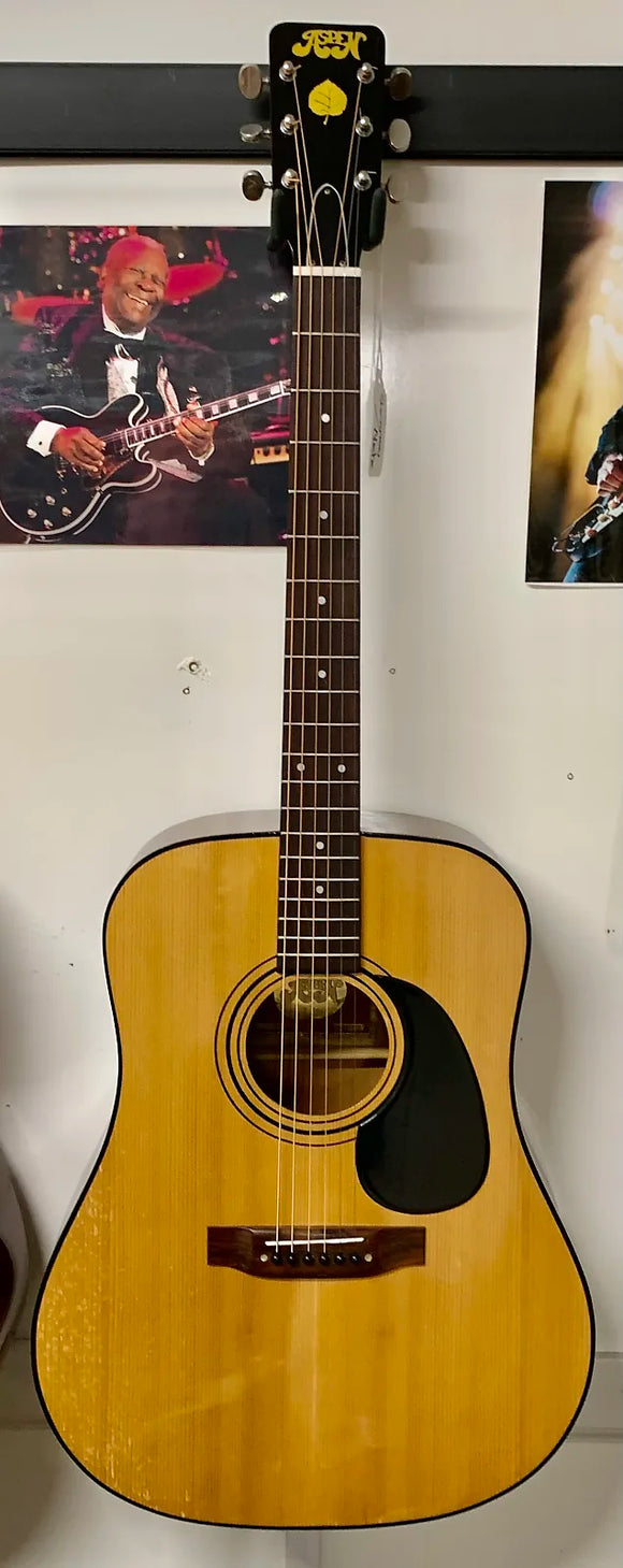 Vintage Aspen D-18 Acoustic Guitar