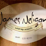 James Neligan Acoustic Electric Guitar with Soft Shell Case